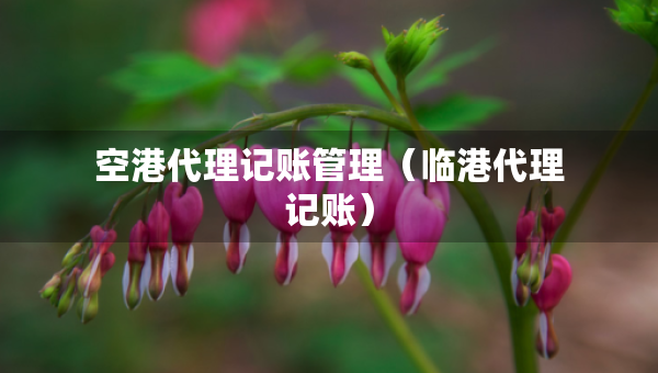 空港代理記賬管理（臨港代理記賬）