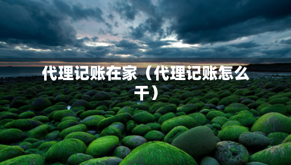代理記賬在家（代理記賬怎么干）