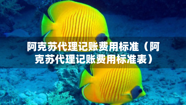 阿克蘇代理記賬費用標(biāo)準(zhǔn)（阿克蘇代理記賬費用標(biāo)準(zhǔn)表）