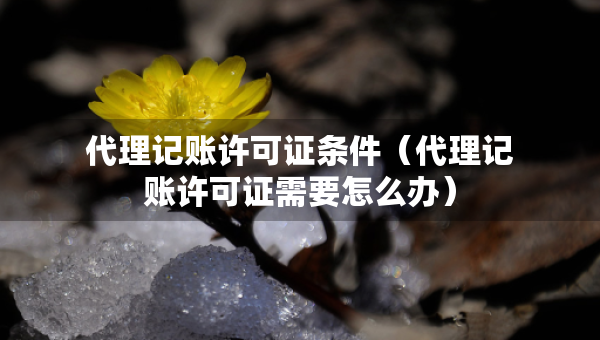 代理記賬許可證條件（代理記賬許可證需要怎么辦）