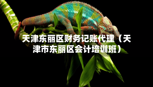 天津東麗區(qū)財務(wù)記賬代理（天津市東麗區(qū)會計培訓(xùn)班）
