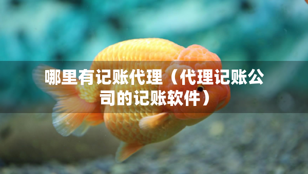 哪里有記賬代理（代理記賬公司的記賬軟件）