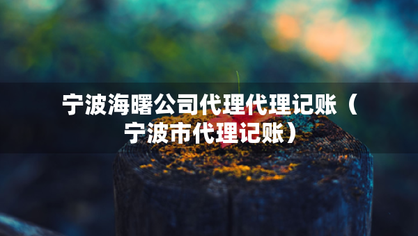 寧波海曙公司代理代理記賬（寧波市代理記賬）