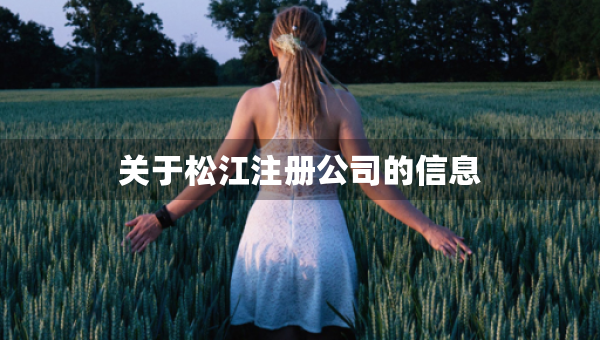 關于松江注冊公司的信息