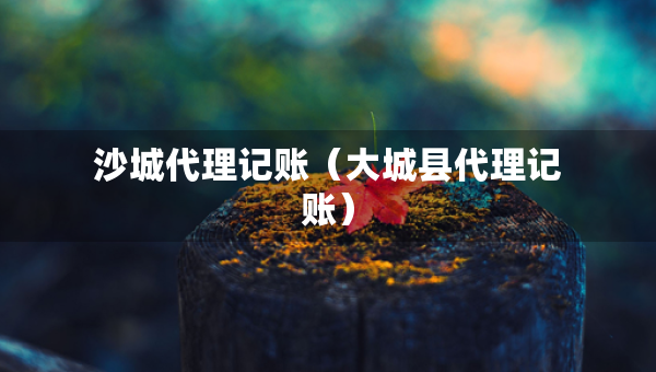 沙城代理記賬（大城縣代理記賬）
