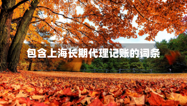 包含上海長期代理記賬的詞條