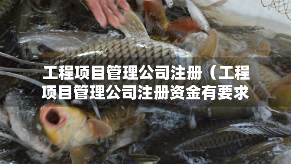 工程項(xiàng)目管理公司注冊(cè)（工程項(xiàng)目管理公司注冊(cè)資金有要求嗎）