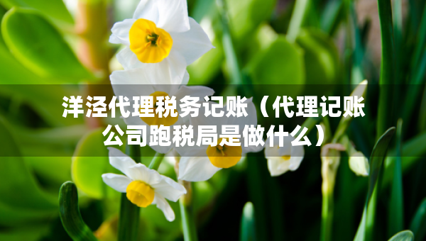 洋涇代理稅務(wù)記賬（代理記賬公司跑稅局是做什么）