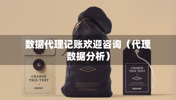 數(shù)據(jù)代理記賬歡迎咨詢（代理數(shù)據(jù)分析）