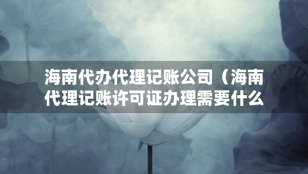 海南代辦代理記賬公司（海南代理記賬許可證辦理需要什么條件）