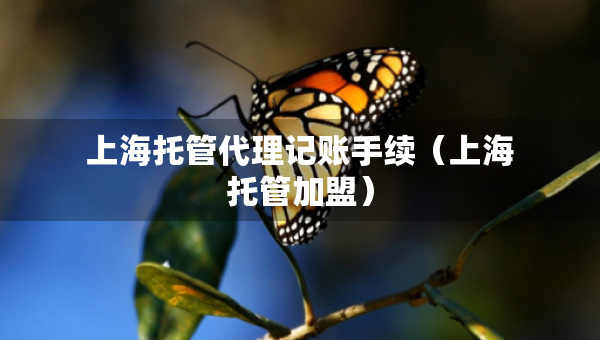 上海托管代理記賬手續(xù)（上海托管加盟）