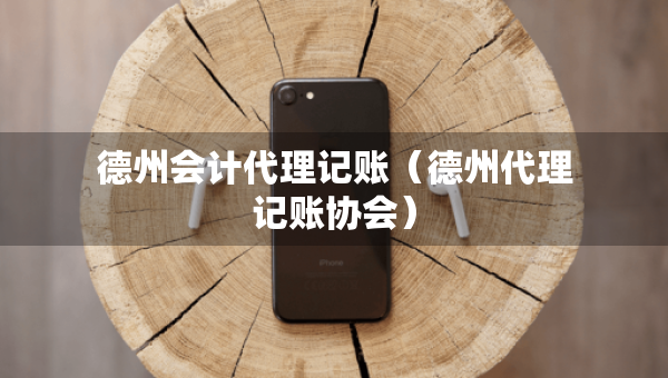 德州會計代理記賬（德州代理記賬協(xié)會）