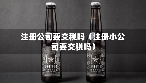 注冊(cè)公司要交稅嗎（注冊(cè)小公司要交稅嗎）