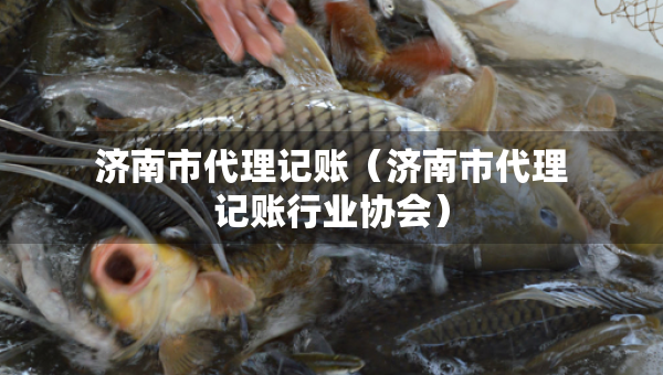 濟(jì)南市代理記賬（濟(jì)南市代理記賬行業(yè)協(xié)會）