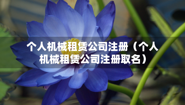 個(gè)人機(jī)械租賃公司注冊（個(gè)人機(jī)械租賃公司注冊取名）