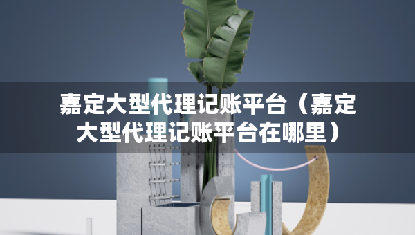 嘉定大型代理記賬平臺（嘉定大型代理記賬平臺在哪里）