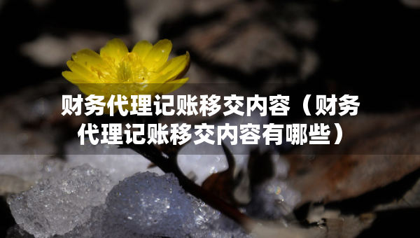 財(cái)務(wù)代理記賬移交內(nèi)容（財(cái)務(wù)代理記賬移交內(nèi)容有哪些）