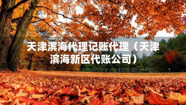 天津?yàn)I海代理記賬代理（天津?yàn)I海新區(qū)代賬公司）