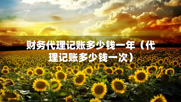 財務(wù)代理記賬多少錢一年（代理記賬多少錢一次）