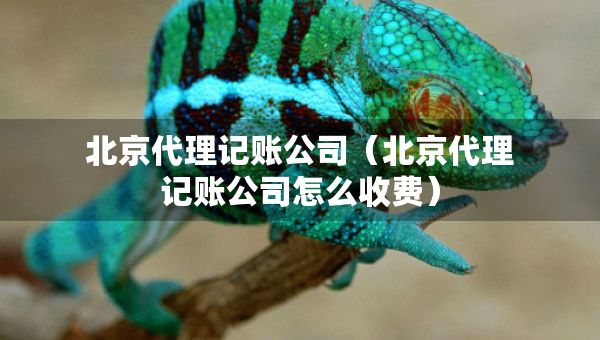 北京代理記賬公司（北京代理記賬公司怎么收費(fèi)）