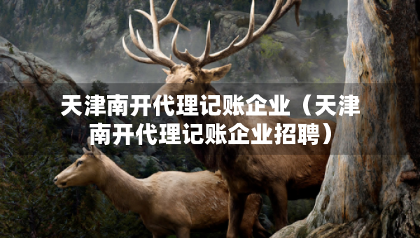 天津南開代理記賬企業(yè)（天津南開代理記賬企業(yè)招聘）