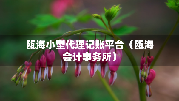 甌海小型代理記賬平臺（甌海會計事務所）