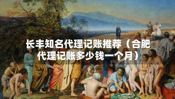 長豐知名代理記賬推薦（合肥代理記賬多少錢一個月）