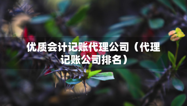 優(yōu)質(zhì)會計記賬代理公司（代理記賬公司排名）