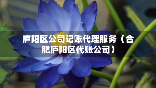 廬陽區(qū)公司記賬代理服務(wù)（合肥廬陽區(qū)代賬公司）