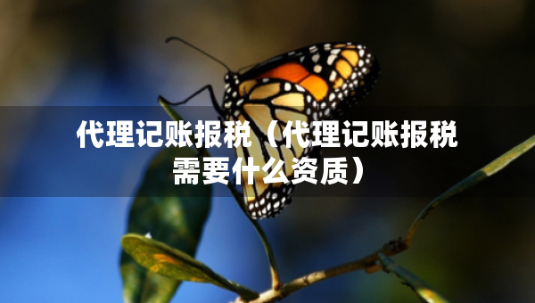 代理記賬報稅（代理記賬報稅需要什么資質(zhì)）