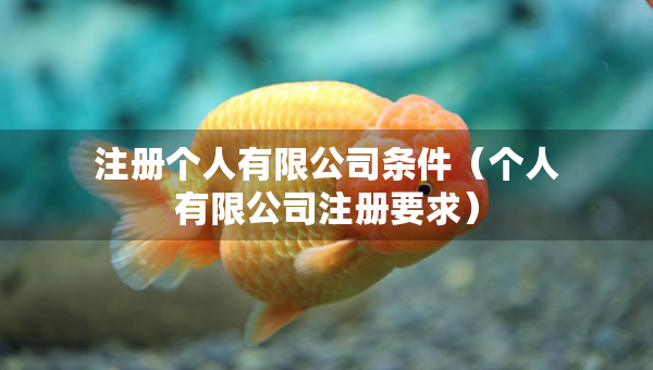 注冊(cè)個(gè)人有限公司條件（個(gè)人有限公司注冊(cè)要求）