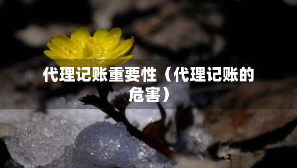 代理記賬重要性（代理記賬的危害）
