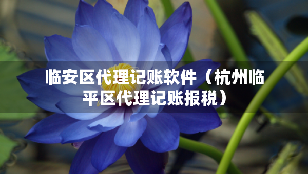 臨安區(qū)代理記賬軟件（杭州臨平區(qū)代理記賬報(bào)稅）