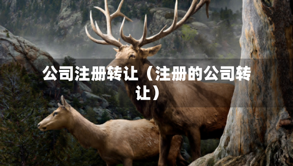 公司注冊轉(zhuǎn)讓（注冊的公司轉(zhuǎn)讓）