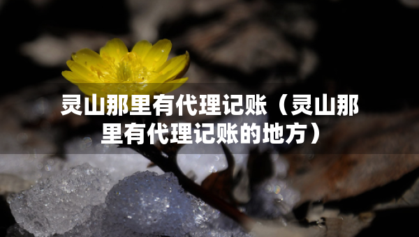 靈山那里有代理記賬（靈山那里有代理記賬的地方）