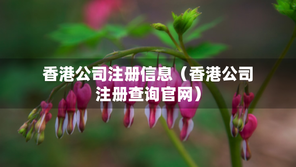 香港公司注冊(cè)信息（香港公司注冊(cè)查詢(xún)官網(wǎng)）