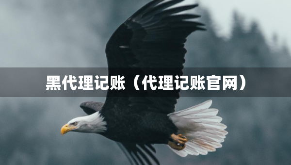 黑代理記賬（代理記賬官網(wǎng)）