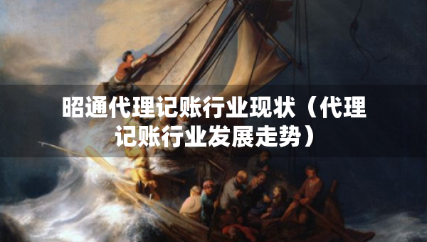 昭通代理記賬行業(yè)現(xiàn)狀（代理記賬行業(yè)發(fā)展走勢）