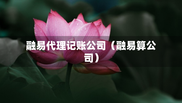 融易代理記賬公司（融易算公司）