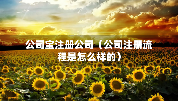 公司寶注冊公司（公司注冊流程是怎么樣的）