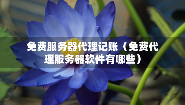 免費(fèi)服務(wù)器代理記賬（免費(fèi)代理服務(wù)器軟件有哪些）