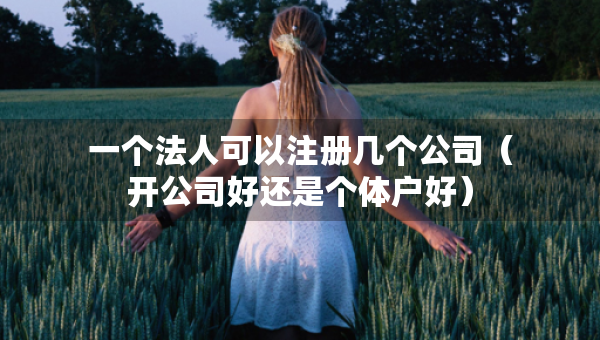一個法人可以注冊幾個公司（開公司好還是個體戶好）