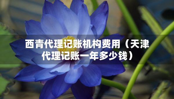 西青代理記賬機構費用（天津代理記賬一年多少錢）