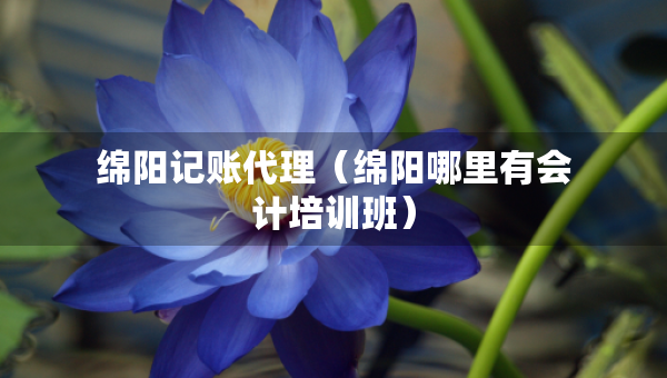 綿陽記賬代理（綿陽哪里有會(huì)計(jì)培訓(xùn)班）