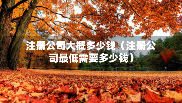 注冊(cè)公司大概多少錢（注冊(cè)公司最低需要多少錢）