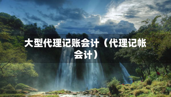 大型代理記賬會計（代理記帳會計）