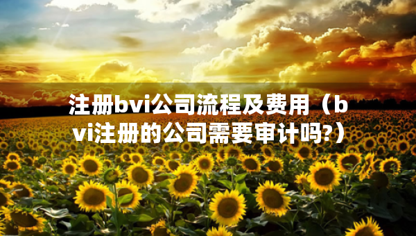 注冊bvi公司流程及費(fèi)用（bvi注冊的公司需要審計嗎?）