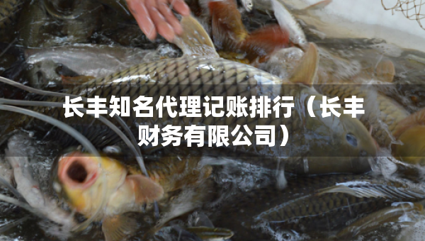 長(zhǎng)豐知名代理記賬排行（長(zhǎng)豐財(cái)務(wù)有限公司）