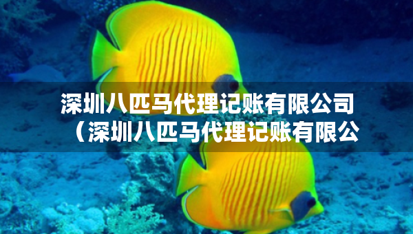 深圳八匹馬代理記賬有限公司（深圳八匹馬代理記賬有限公司怎么樣）