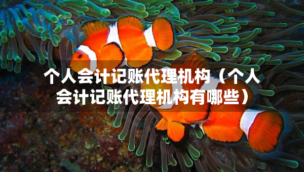 個(gè)人會(huì)計(jì)記賬代理機(jī)構(gòu)（個(gè)人會(huì)計(jì)記賬代理機(jī)構(gòu)有哪些）